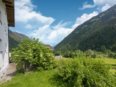ViewSummer