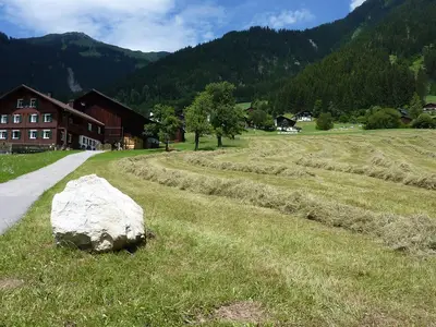 Wiese vor dem Haus