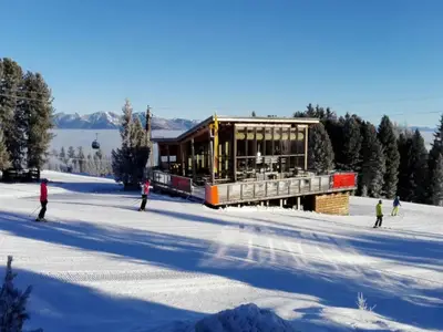 AreaWinter1KM