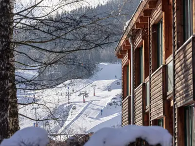 ViewWinter