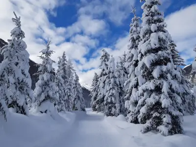 Winterwanderweg