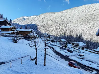 Ferienwohnung für 6 Personen (30 m²) in St Jean D'Aulps 6/10