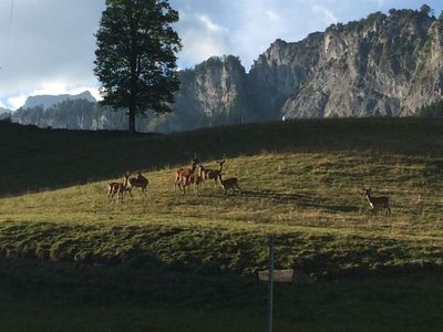 Urlaub am Bauernhof St. Johann in Tirol