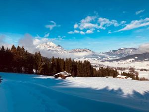 23893556-Ferienwohnung-4-St. Johann in Tirol-300x225-3