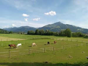 23914954-Ferienwohnung-4-St. Johann in Tirol-300x225-5