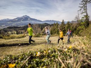 24054228-Ferienwohnung-4-St. Johann in Tirol-300x225-4