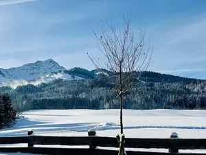 Ferienwohnung für 4 Personen (64 m²) in St. Johann in Tirol