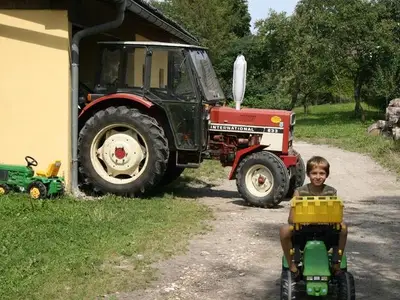 Ferienwohnung für 3 Personen (28 m²) in St.Kanzian am Klopeiner See 4/10