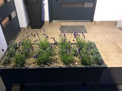 Ferienwohnung für 5 Personen (60 m²) in St.Kanzian am Klopeiner See 7/10