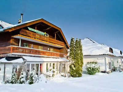 Ferienwohnung für 4 Personen (55 m²) in St.Kanzian am Klopeiner See 2/10