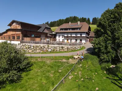 DJI_0149
