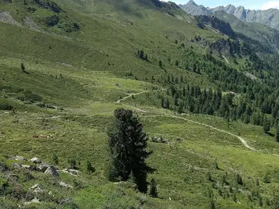 Ferienwohnung für 8 Personen (50 m²) in St. Leonhard im Pitztal 8/10