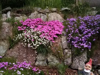Frühling