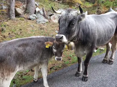 Babsi und Betty