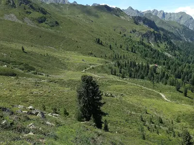 Berge