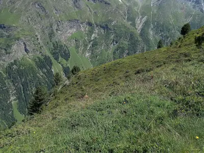 Hohe Geigeblick