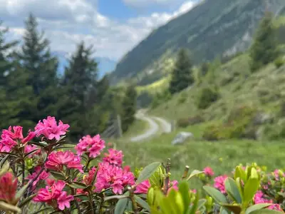 Ferienwohnung für 3 Personen (33 m²) in St. Leonhard im Pitztal 6/10
