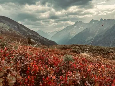 Ferienwohnung für 3 Personen (33 m²) in St. Leonhard im Pitztal 5/9