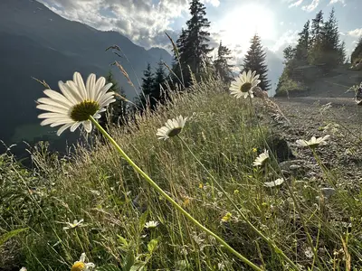 20230719_173036299_iOS