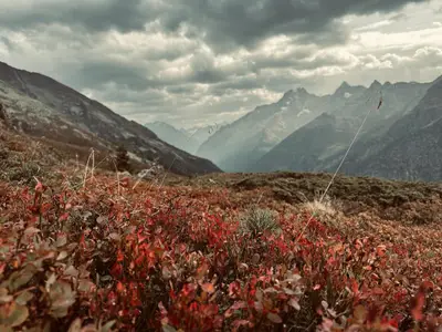 20231009_140006516_iOS