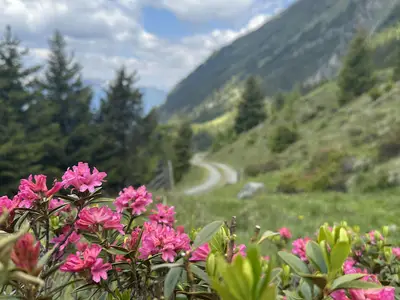 20230617_092319771_iOS