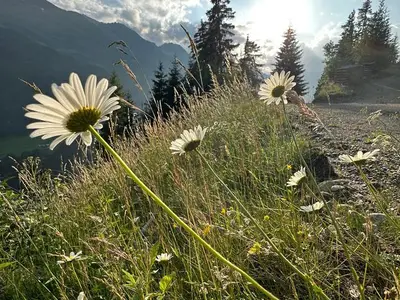 Ferienwohnung für 3 Personen (33 m²) in St. Leonhard im Pitztal 5/10