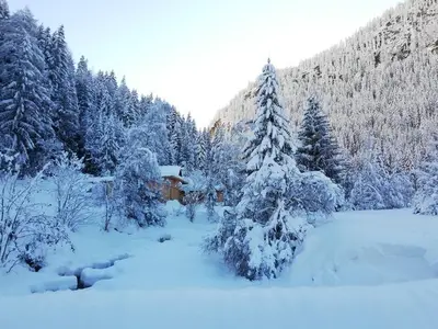 Ferienwohnung für 3 Personen (45 m²) in St. Leonhard im Pitztal 4/10