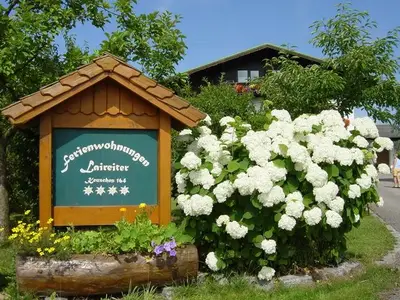 Ferienwohnung für 4 Personen (55 m²) in Mondsee 2/10