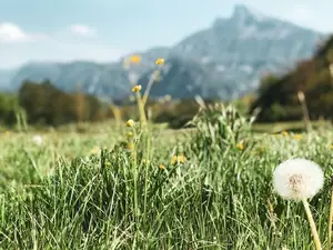 Ferienwohnung für 2 Personen (17 m²) in Mondsee