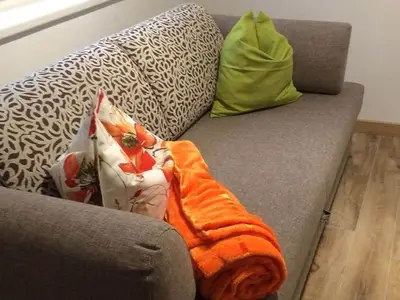 Ferienwohnung für 4 Personen (65 m²) in Mondsee 6/10