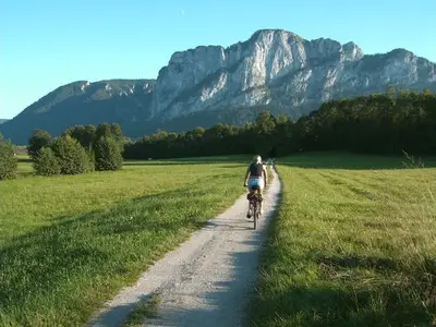 Ferienwohnung für 4 Personen (55 m²) in Mondsee 9/10