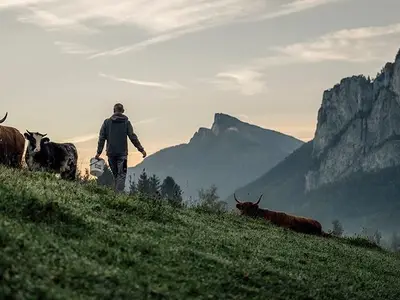 Ferienwohnung für 4 Personen (60 m²) in Mondsee 8/10
