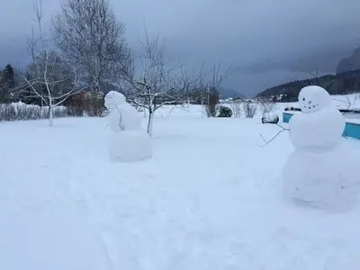 Ferienwohnung für 3 Personen (20 m²) in Mondsee 2/10