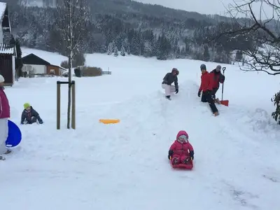 Ferienwohnung für 3 Personen (20 m²) in Mondsee 3/10