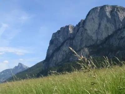 Ferienwohnung für 6 Personen (65 m²) in Mondsee 7/10