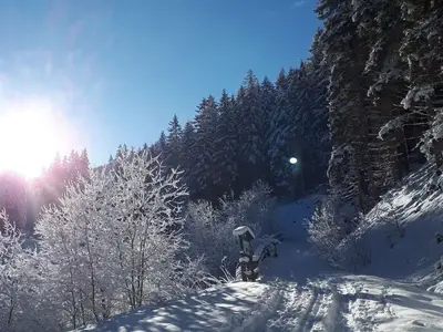 AreaWinter5KM