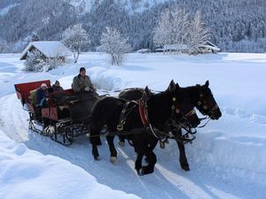 24046197-Ferienwohnung-3-St. Martin bei Lofer-300x225-5