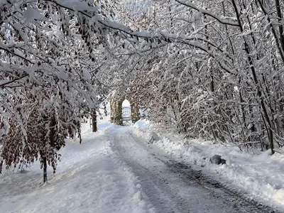 Schlosspark im Winter