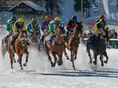 Pferderennen auf dem zugefrorenen St. Moritzer See (praktisch vor der Haustüre)