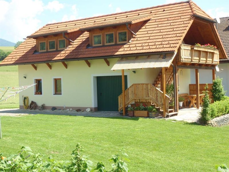 23469573-Ferienwohnung-3-St. Peter am Kammersberg-800x600-2