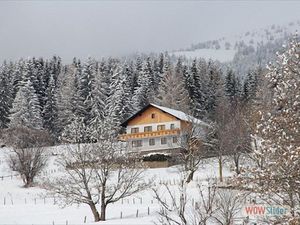 23469577-Ferienwohnung-4-St. Peter am Kammersberg-300x225-1