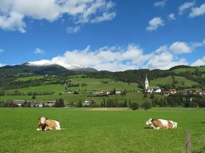 Ferienwohnung für 4 Personen (70 m²) in St. Peter am Kammersberg 3/10