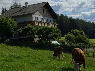 Ferienwohnung für 4 Personen (70 m²) in St. Peter am Kammersberg 7/10