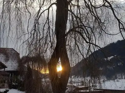 Ferienwohnung für 4 Personen (70 m²) in St. Peter am Kammersberg 10/10