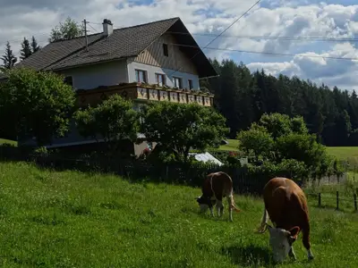 DSC05097