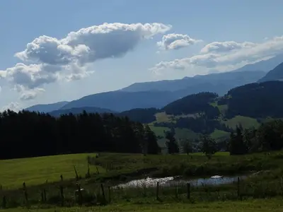 DSC05161