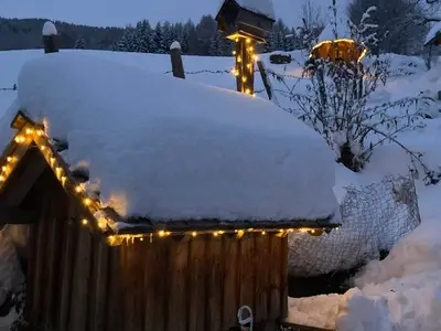 Ferienwohnung für 4 Personen (50 m²) in St. Peter am Kammersberg 1/10