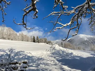Ferienwohnung für 4 Personen (50 m²) in St. Peter am Kammersberg 2/10