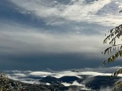 Ferienwohnung für 4 Personen (50 m²) in St. Peter am Kammersberg 4/10