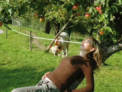 Entspannen am Nussbaumerhof